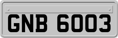GNB6003