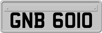 GNB6010