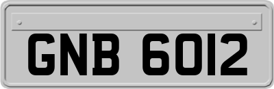 GNB6012