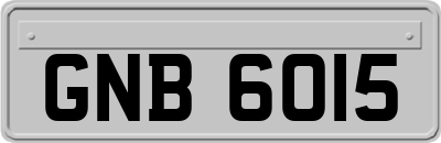 GNB6015