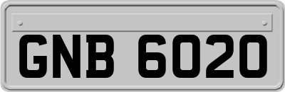 GNB6020