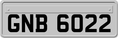 GNB6022