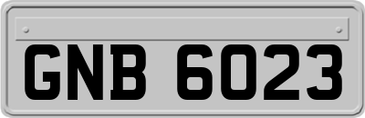 GNB6023