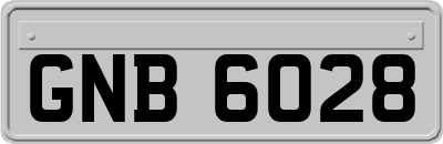 GNB6028