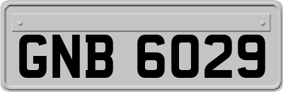 GNB6029