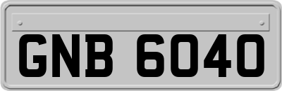 GNB6040
