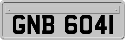 GNB6041