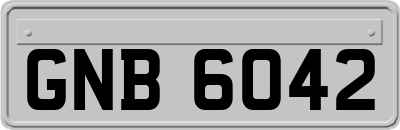 GNB6042
