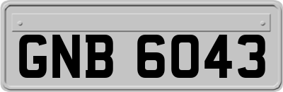 GNB6043