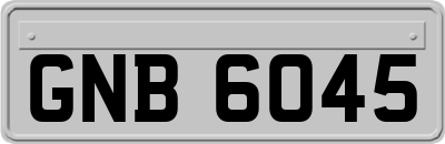 GNB6045