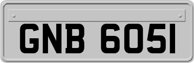 GNB6051