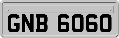 GNB6060