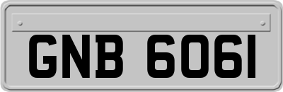 GNB6061