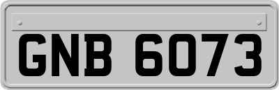 GNB6073