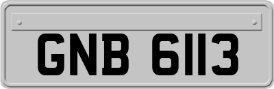 GNB6113