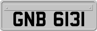 GNB6131