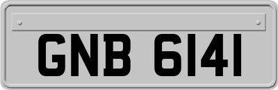 GNB6141