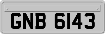 GNB6143
