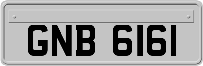 GNB6161