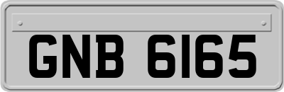 GNB6165