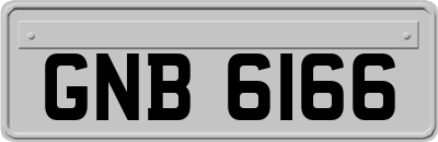 GNB6166