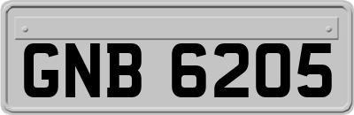 GNB6205