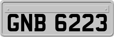 GNB6223