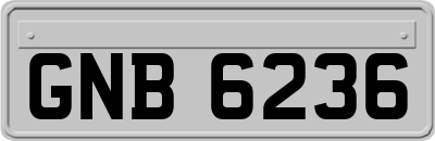 GNB6236