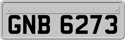 GNB6273