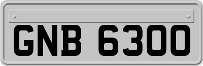 GNB6300