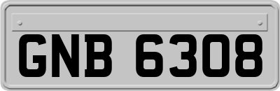 GNB6308