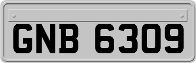 GNB6309