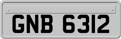 GNB6312