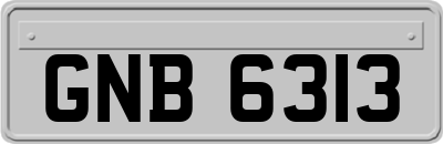 GNB6313