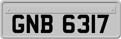 GNB6317