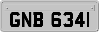 GNB6341
