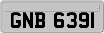 GNB6391