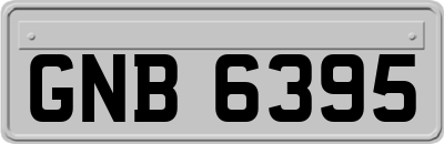GNB6395