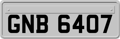 GNB6407