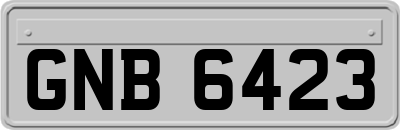 GNB6423