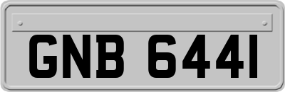 GNB6441