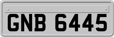 GNB6445