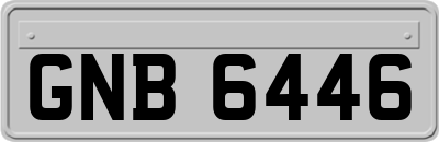 GNB6446