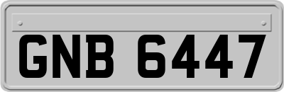 GNB6447