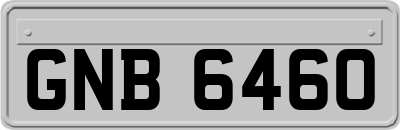 GNB6460