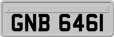 GNB6461
