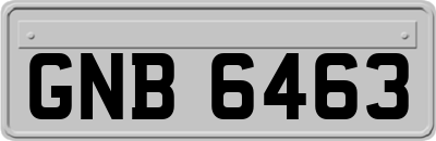 GNB6463