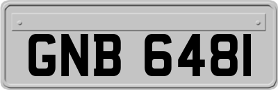 GNB6481