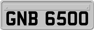 GNB6500