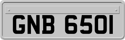 GNB6501